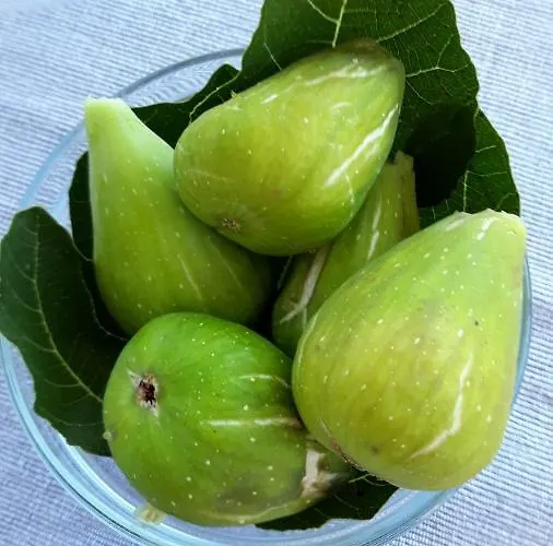 Piranesi With A Parking Space Daire Pula